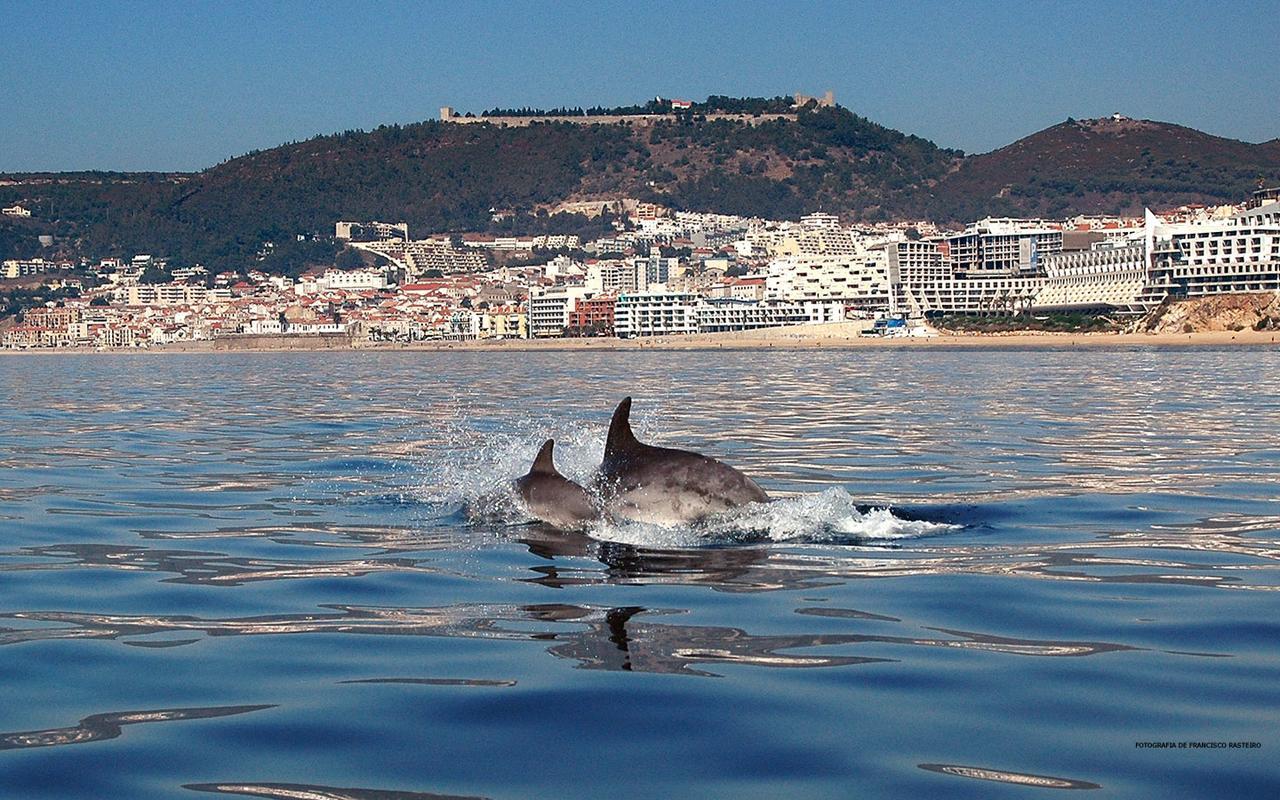 Vila De Sol Sesimbra Exterior photo